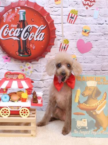 20230905モカちゃん